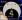 <img0*20:stuff/Nightjitterdetail.jpg>