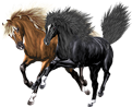 <img:stuff/Nightstar-Pinacle121_rev.png>