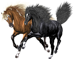 <img:stuff/Nightstar-Pinacle240_rev.png>