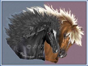 <img300*0:stuff/Nightstar-Pinnacle_headstudy1800_AL-2007.jpg>