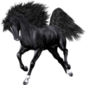 <img:stuff/Nightstar125Lft_test.png>