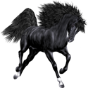 <img:stuff/Nightstar125Rt_test.png>