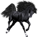 <img:stuff/Nightstar75Rt_test.png>
