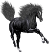 <img:stuff/NightstarFrolic100.png>