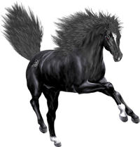 <img:stuff/NightstarFrolic200.png>