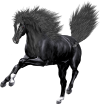 <img:stuff/NightstarFrolic200_rev.png>