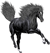 <img:stuff/NightstarFrolic50.png>