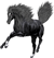 <img:stuff/NightstarFrolic50_rev.png>