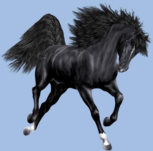 <img500*0:stuff/Nightstar_2400test.jpg>