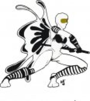 <img300*0:stuff/Ninja_Fairy.jpg>
