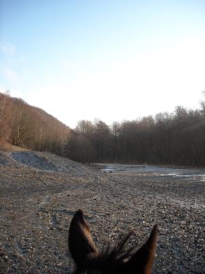 <img300*0:stuff/No%2c_towards_the_next_litte_trail.jpg>