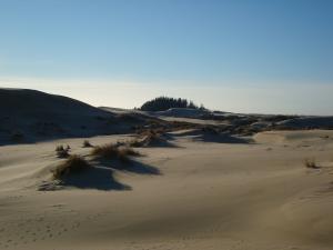 <img300*0:stuff/North_Bend_Oregon.jpg>