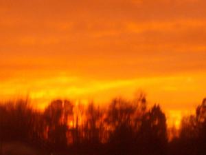 <img300*0:stuff/Not_Intense_but_Burning.jpg>