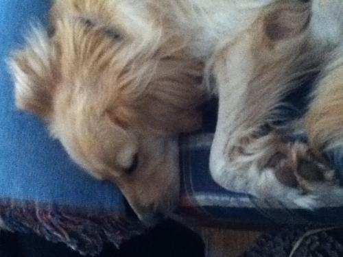 <img500*375:stuff/Nugger.jpg>