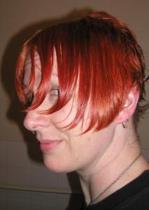 <img0*300:stuff/Oct%2024%202nd%20cut%20wet.JPG>