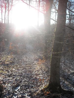 <img300*0:stuff/Oooh%2c_pretty_light...Lets_follow_it%21.jpg>