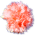 <img:stuff/OrgCarnBullet.png>