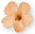 <img:stuff/OrgFlwrBullet.png>