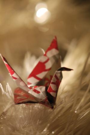 <img300*0:stuff/Origami.jpg>