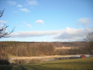 <img300*0:stuff/Our_other_pasture..jpg>