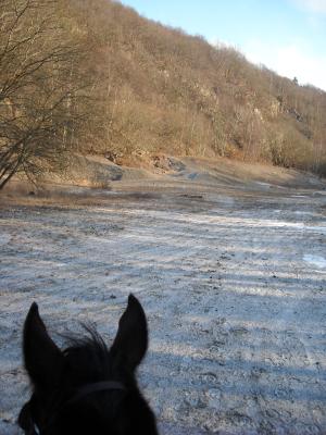 <img300*0:stuff/Out_in_the_open_with_horseears_%3b.jpg>