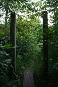 <img200*0:stuff/Overgrown_Park_I.jpg>