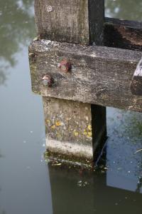 <img200*0:stuff/Overgrown_Park_III.jpg>