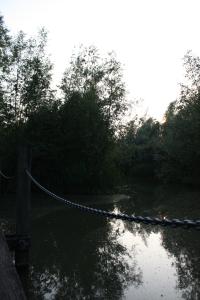 <img200*0:stuff/Overgrown_Park_IV.jpg>