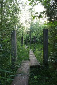 <img200*0:stuff/Overgrown_Park_V.jpg>