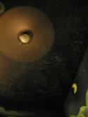 <img125*0:stuff/P8080012.JPG>