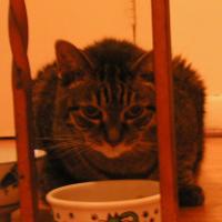 <img0*200:stuff/PA010013.jpg>