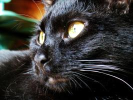 <img0*200:stuff/PB250015.JPG>