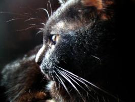<img0*200:stuff/PB300047.JPG>