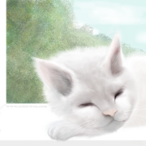 <img500*0:http://elftown.heddate.com/stuff/PCw1Content.png>