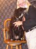 <img0*100:stuff/Patted_dog.jpg>