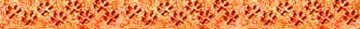 <img:stuff/PawPrintsDividerOrange.psd.jpg>