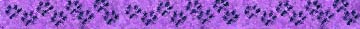 <img:stuff/PawPrintsDividerPurple.psd.jpg>