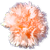 <img:stuff/PeachCarnBullet.png>