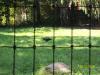 <img100*0:stuff/Peacock.jpg>