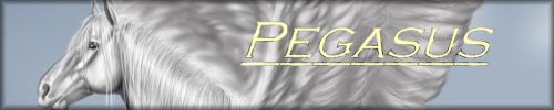 <img500*0:stuff/Pegasus%20banner%20by%20Zab.png>