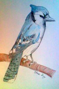 <img200*0:http://elftown.heddate.com/stuff/Pegasus1000_Blue_Jay.jpg>