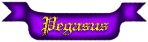 <img300*0:http://elftown.heddate.com/stuff/PegasusNameRibbon_purp.png>
