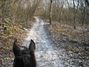 <img300*0:stuff/Perfect_place_to_rack_or_canter%21.jpg>