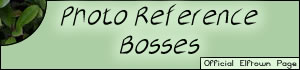 <img:stuff/Photo_Reference_Bosses.jpg>