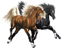 <img:stuff/Pinacle-Nightstar124.png>