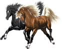 <img:stuff/Pinacle-Nightstar124_rev.png>
