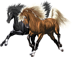 <img:stuff/Pinacle-Nightstar246_rev.png>