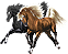 <img:stuff/Pinacle-Nightstar62_rev.png>