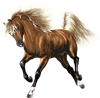<img:stuff/Pinacle100_rev.png>