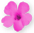 <img:stuff/PinkFlwrBullet.png>